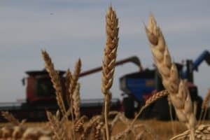 NFU encouraged by progress on AgriStability
