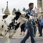 NFU Campaign: Trans Pacific Partnership