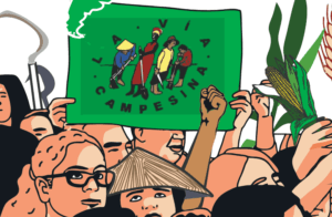 La Via Campesina – new publication calls for massive change in agro-food systems