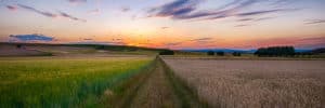 Save Our Seed – Ressources pour la campagne