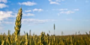 Prairie farmers draw attention to dangers of carbon capture and storage