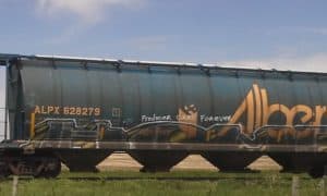 Grain Marketing and Transportation