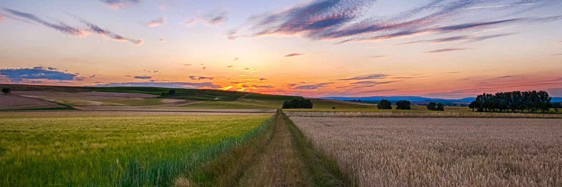 Sunset Under Blue Skies on the Farm