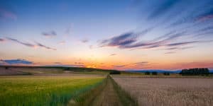NFU National Convention 2021