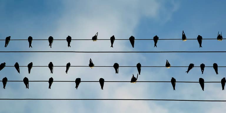 NFU Posts: Letters