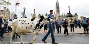 NFU (PEI) Presentation on the Trans-Pacific Partnership Agreement (TPP)