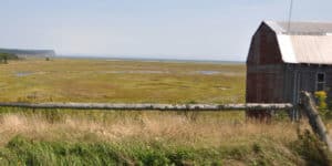 NFU-NB Submission to Ag Committee on the Next Agriculture Policy Framework