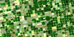 NFU response to the United States Department of Agriculture (USDA) Environmental Impact Statement on Roundup Ready Alfalfa