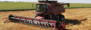 COVID emergency funds can help build a more robust food system