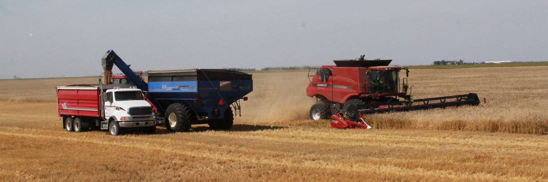 NFU Region 6 - Saskatchewan