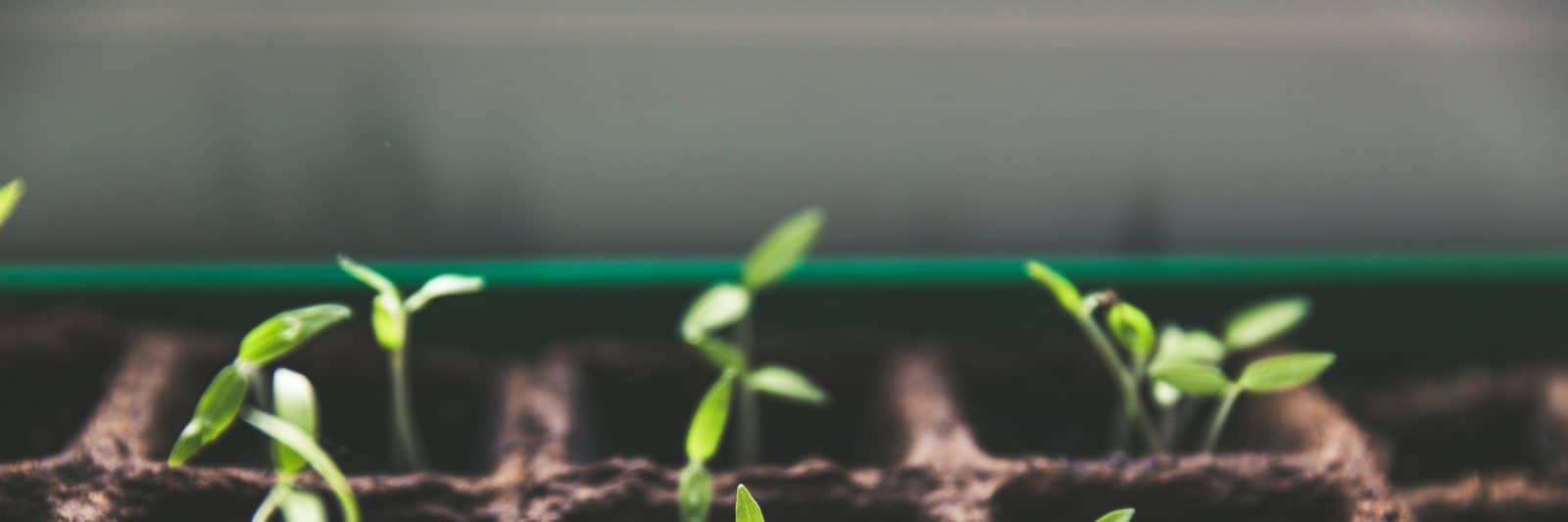 Mental Health First Aid National Farmers Union