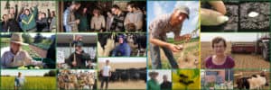 Job Posting: NFU Executive Director