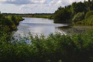 NFU congratulates Manitoba on new GROW Program to enhance environmental action