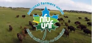 Emergency Processing Fund: NFU Input