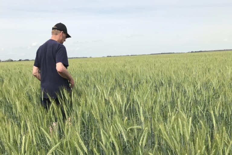 Seed grower standing in field