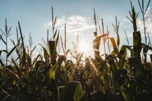 NFU Manitoba troubled by 21 Ag Office Closures