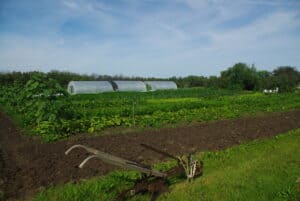 Assurance des petites exploitations agricoles au Manitoba – Mise à jour de mars 2021