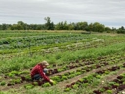 Response to PMRA Potential Environmental Risk to Squash Bee