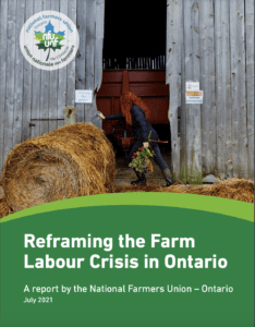 NFU-O publie un nouveau rapport : « Recadrer la crise du travail agricole en Ontario »