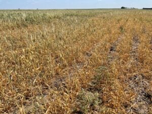 Time for Western Premiers to “Do The Right Thing” Regarding Agristability