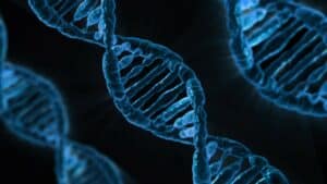 CFIA gene editing regulatory proposal not science-based or transparent
