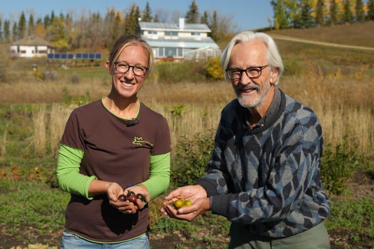 Prairie Garden Seed