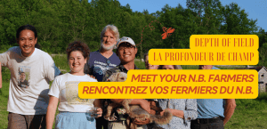 Four N.B. Farms featured in Depth of Field: Films About Farming