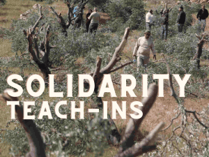 Building capacity for action: A workshop to support taking action for a just and lasting peace in Palestine