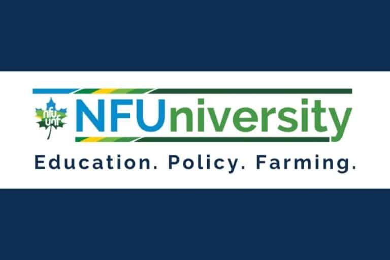 NFUniversité