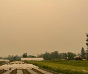 NFU Announces Campaign Addressing Impact of Climate Change on Farm Workers and Farmers Amidst Third Consecutive Day of Over 30 Degree Temperatures