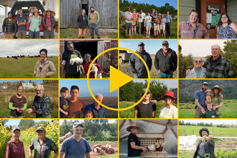 Films sur l'agriculture - Voir les nouveautés