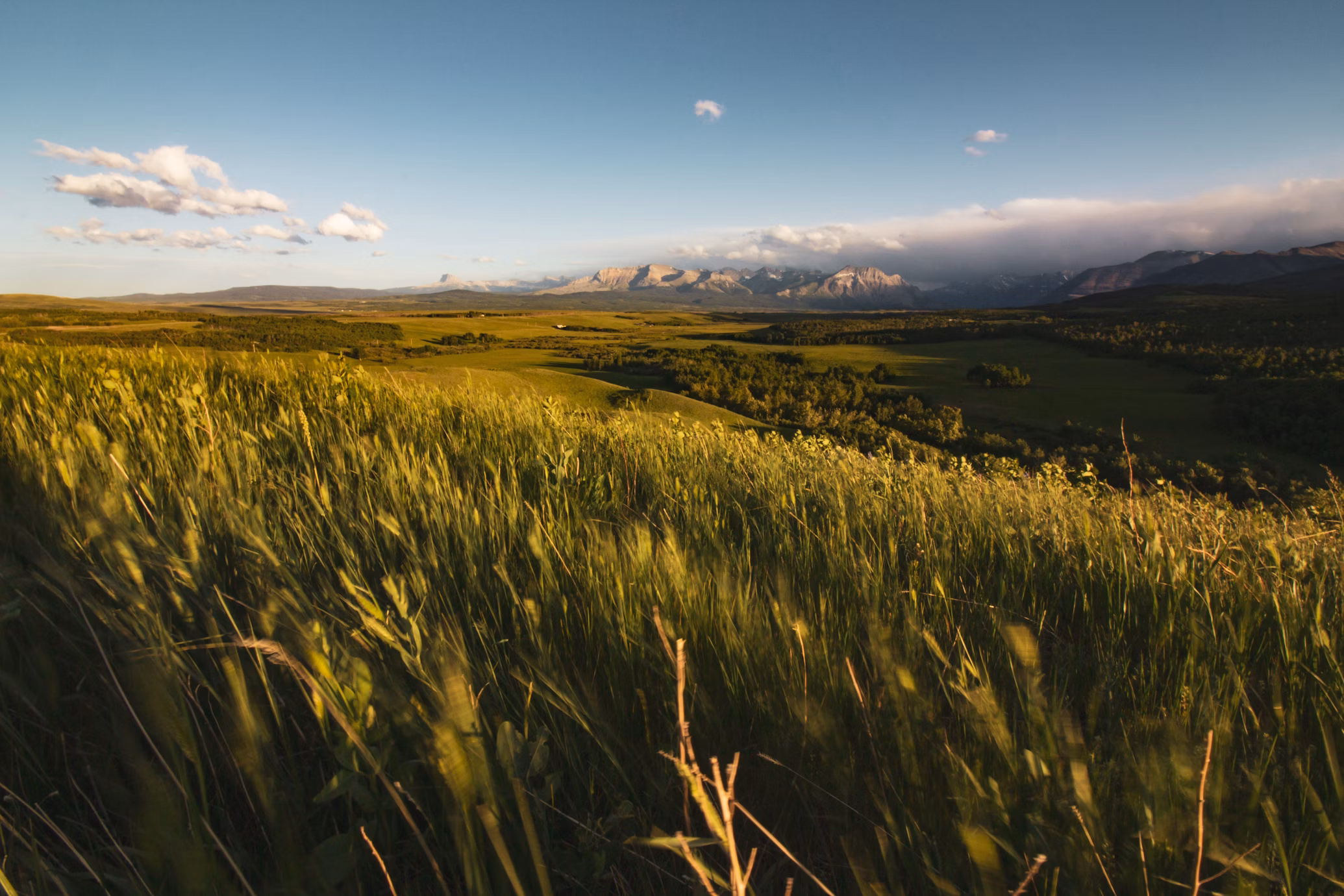 Address Western Separatism with Electoral Reform, Rural Renewal, and Respect for Treaty Rights