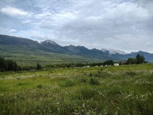 National Farmers Union BC Stands in Solidarity with Indigenous Communities