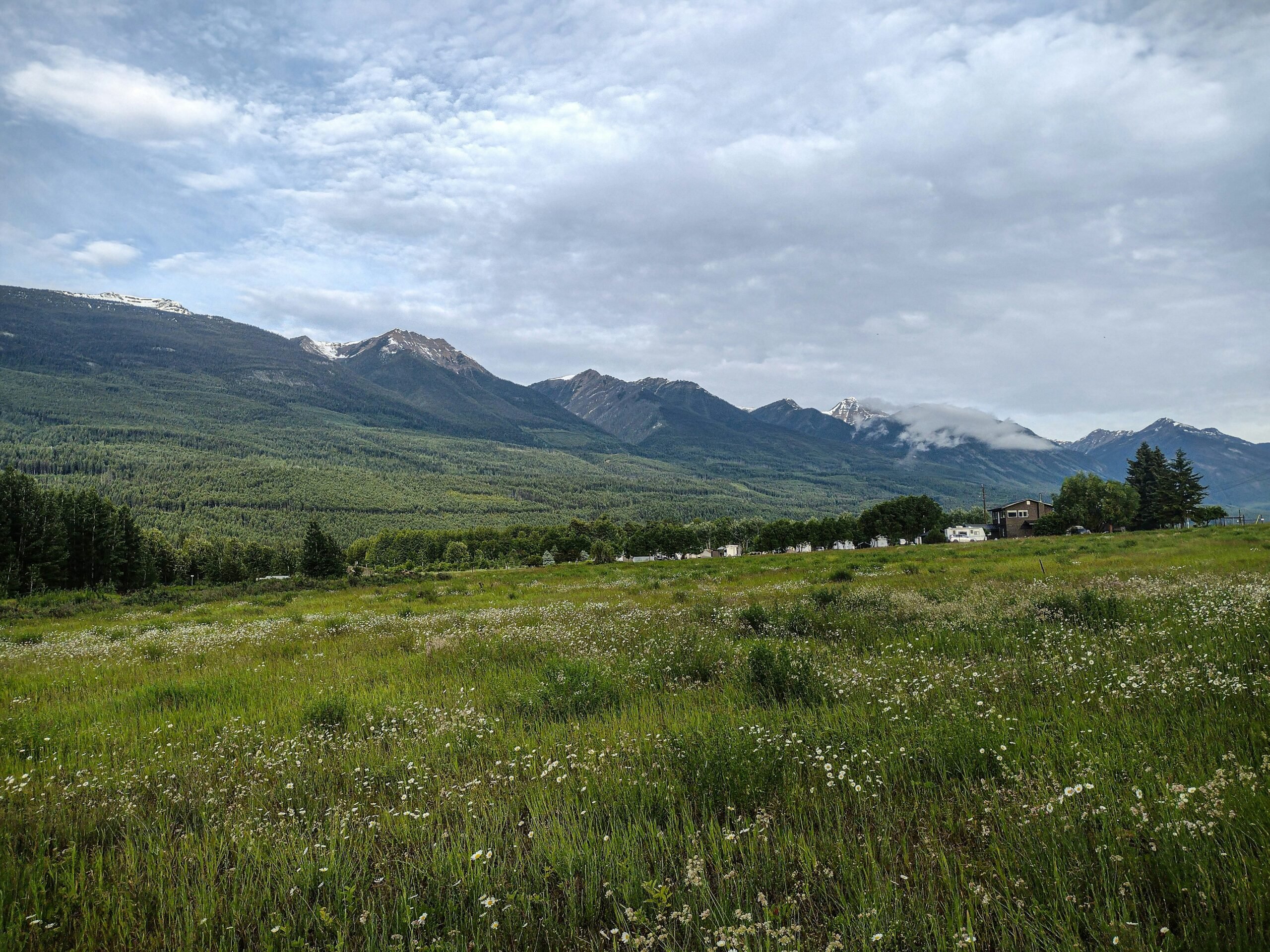 National Farmers Union BC Stands in Solidarity with Indigenous Communities
