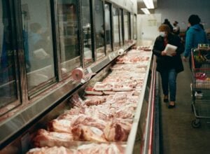 Bill C-30 power grab empowers Cabinet to override CFIA laws and regulations