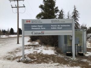 L&rsquo;unité de multiplication des semences de la ferme expérimentale d&rsquo;Indian Head est essentielle à la souveraineté semencière du Canada