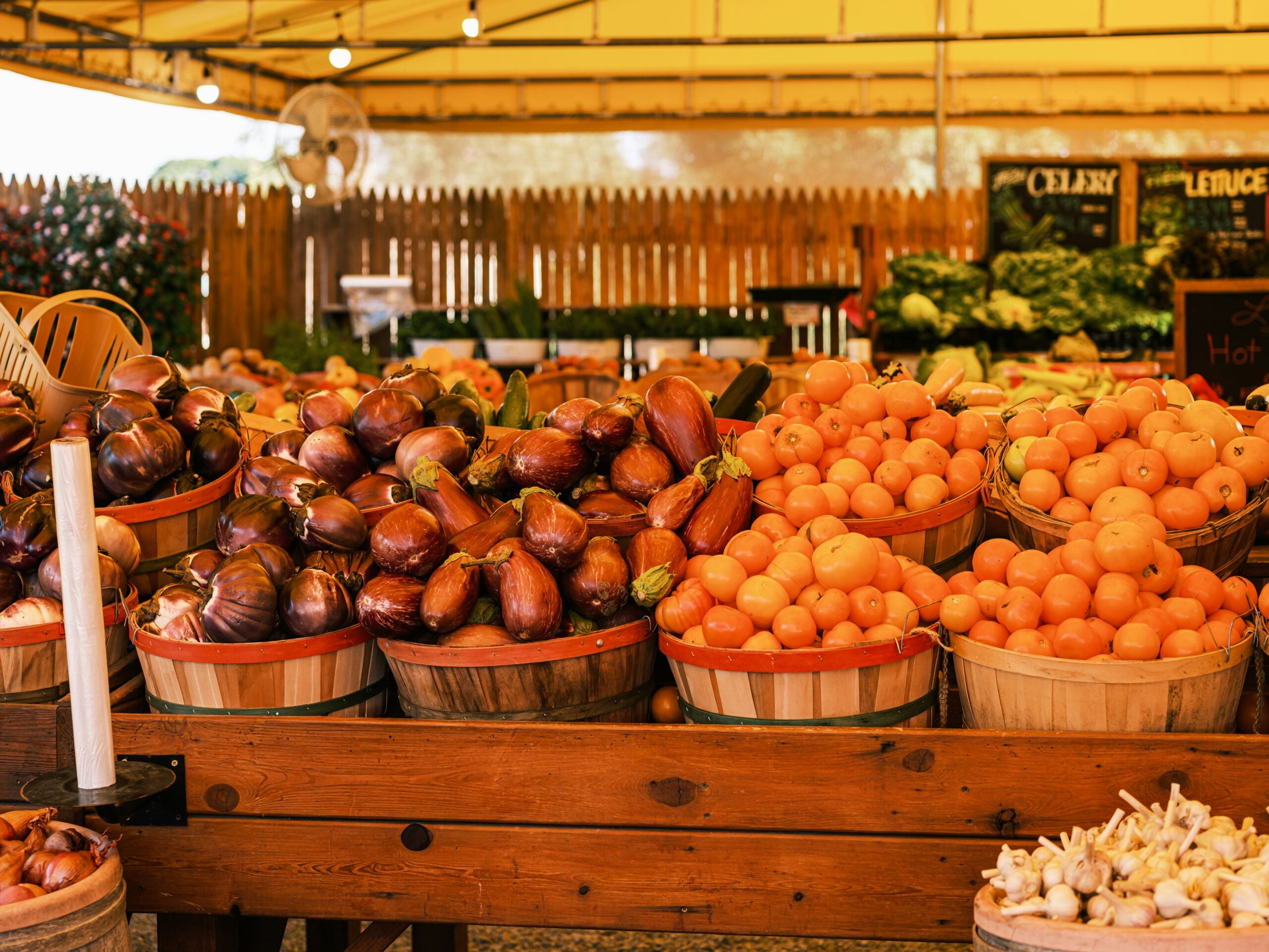 Eggplant, tomatoes and seasonal vegetables displayed at an outdoor farmers market
